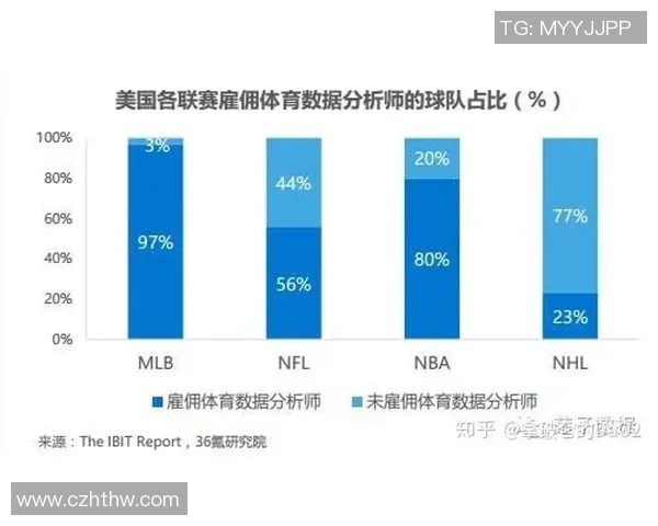 北京羽毛球队灵活性深度解析与其他球队的对比分析